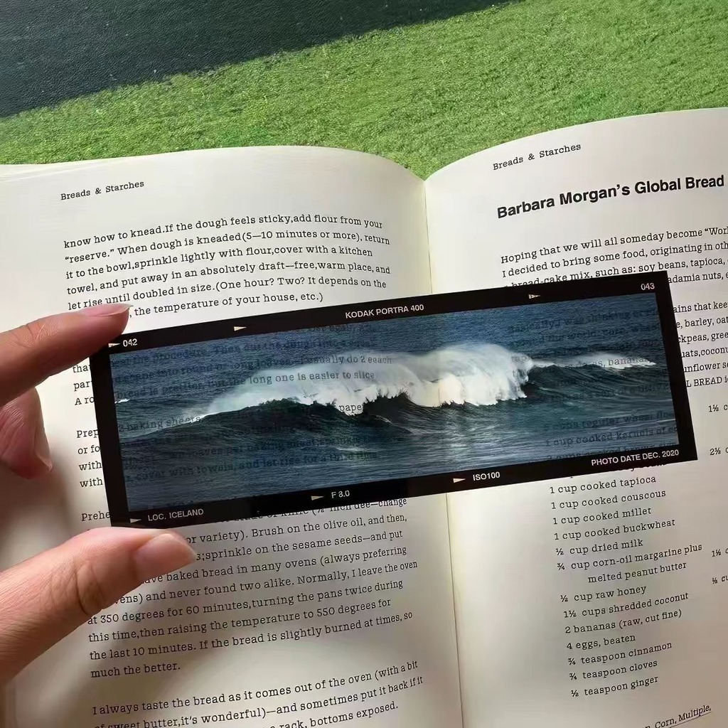 Sea'S Memoirs Okyanus Temalı F - Dried Flower Bookmark incelemesi ve fiyatı